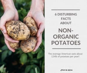 4 big potatoes being held outside